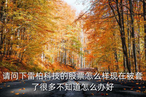 雷柏科技股票是什么板塊，600248是屬于什么板塊的股有潛力沒的能看高到多少價(jià)位