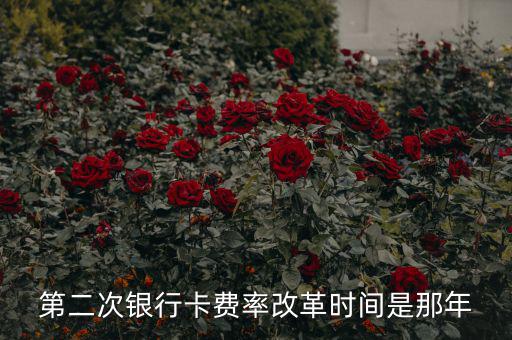 各銀行手續(xù)費(fèi)改革什么時(shí)候開(kāi)始，第二次銀行卡費(fèi)率改革時(shí)間是那年