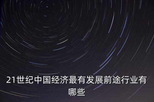 21世紀(jì)中國經(jīng)濟最有發(fā)展前途行業(yè)有哪些