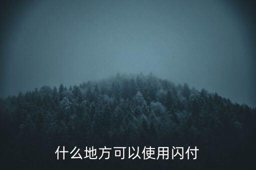 濟南什么地方支持閃付，濟南那個超市pos機有閃付