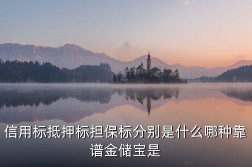 信用標抵押標擔(dān)保標分別是什么哪種靠譜金儲寶是