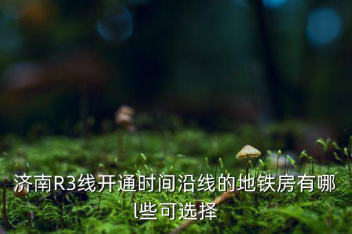 濟(jì)南R3線開(kāi)通時(shí)間沿線的地鐵房有哪l些可選擇