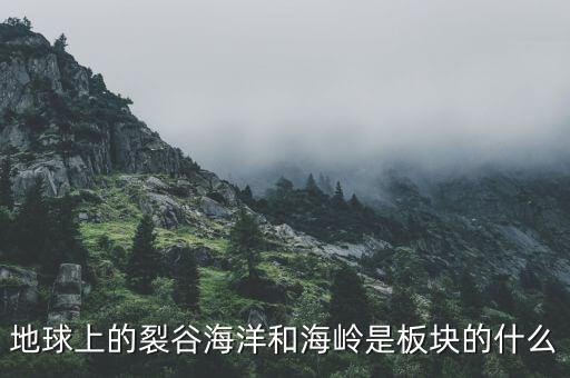 誠(chéng)益通屬于什么板塊，地球上的裂谷海洋和海嶺是板塊的什么