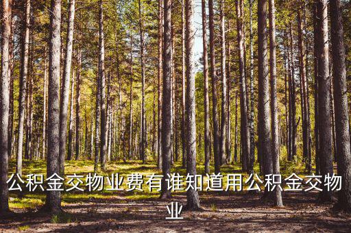 公積金交物業(yè)費(fèi)有誰(shuí)知道用公積金交物業(yè)