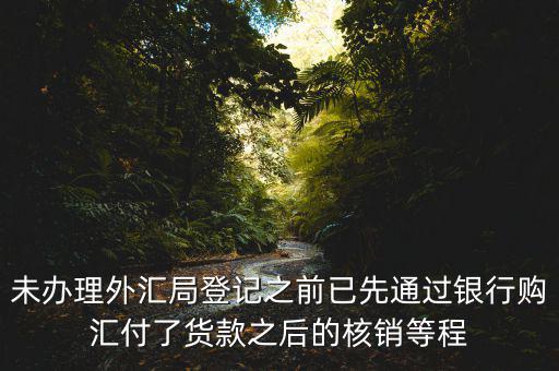 未辦理外匯局登記之前已先通過(guò)銀行購(gòu)匯付了貨款之后的核銷(xiāo)等程
