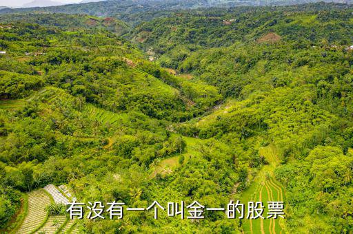 金一文化為什么停牌，金一文化什么時(shí)候復(fù)牌