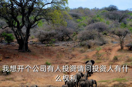 投資人最核心的優(yōu)先權(quán)是什么，投資人最關(guān)心哪三大核心問題