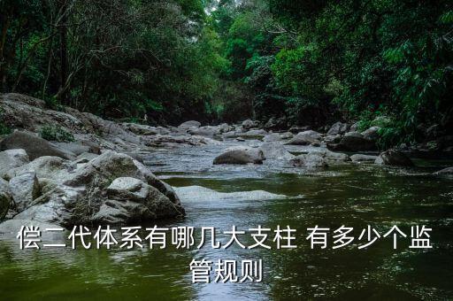 償二代體系有哪幾大支柱 有多少個監(jiān)管規(guī)則