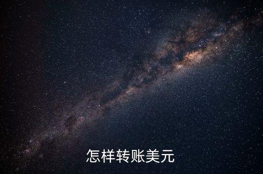 怎么向美國(guó)匯十萬美元