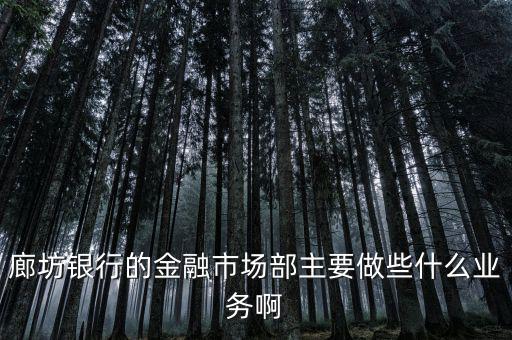 齊飛金融主營什么業(yè)務(wù)，堅(jiān)固金融都有什么業(yè)務(wù)實(shí)力怎么樣