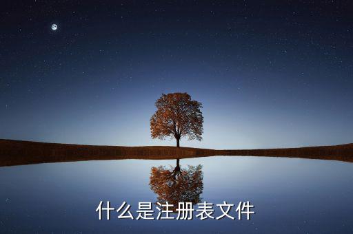 什么是注冊制，化妝品注冊是什么