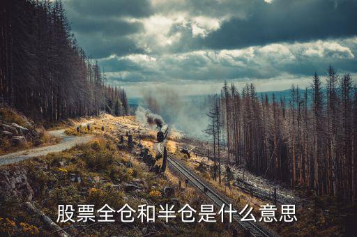 股票全倉(cāng)是什么意思，股票全倉(cāng)和半倉(cāng)是什么意思