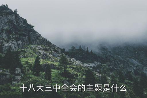 中全會講什么，七屆二中全會的主要內(nèi)容是什么啊
