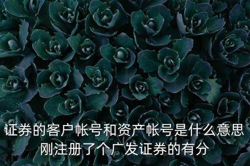 申萬宏源資產(chǎn)賬號(hào)是什么，我知道瀘A股東的賬號(hào)怎么查資金賬號(hào)申萬宏源
