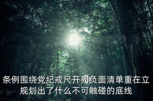 負(fù)面清單將不再提出什么，負(fù)面清單將不再提出  A關(guān)鍵項(xiàng)目 B阻礙項(xiàng)目 C禁止項(xiàng)目 D鼓勵(lì)項(xiàng)