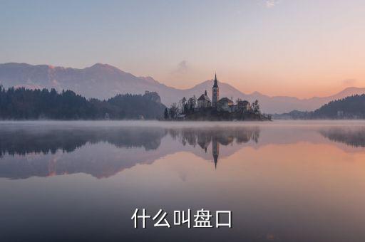 大盤口什么意思，大盤中的盤口是什么意思啊