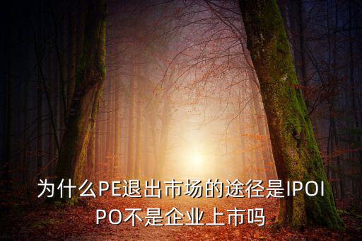 pe為什么要退出，為什么PE退出市場(chǎng)的途徑是IPOIPO不是企業(yè)上市嗎