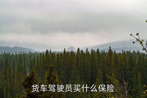 貨車司機買什么保險好，大貨車買什么保險最好