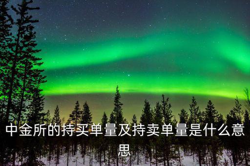 持買單量是什么意思，持賣單什么意思
