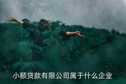 德善小額貸款是什么企業(yè)，德盛行小額貸款是不是真的