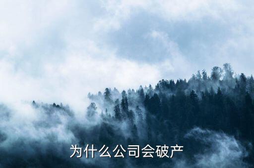 凱銀集團(tuán)為什么破產(chǎn)了，公司破產(chǎn)的原因是什么