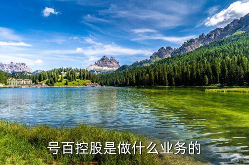 號(hào)百控股什么概念，號(hào)百控股是做什么業(yè)務(wù)的