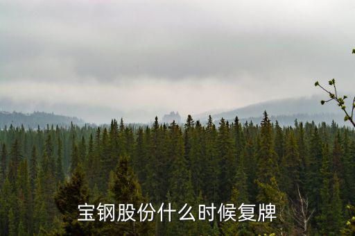 寶鋼什么時(shí)候復(fù)牌，武鋼和寶鋼什么時(shí)候完成重組