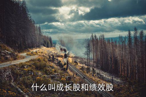 什么績(jī)效股票，什么叫成長(zhǎng)股和績(jī)效股