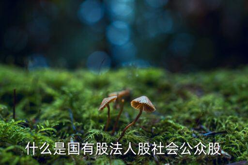 什么情況叫公眾持股，股份制上市企業(yè)誰能幫我解釋一下它是公企還是私企