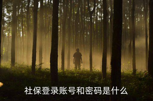 社保查詢個人賬戶密碼是什么，社保登錄賬號和密碼是什么