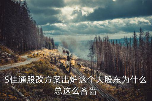 s佳通為什么不股改，s佳通的流通股這么少為什么不股改全流通