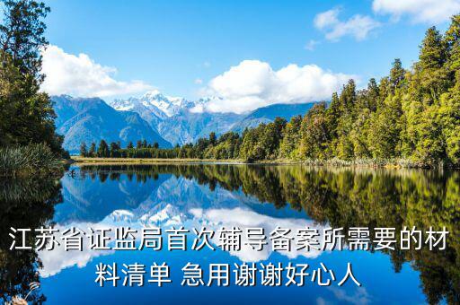 輔導備案登記受理是什么階段，我想問一下辦一般納稅人申請后我們的輔導期是當月 15小