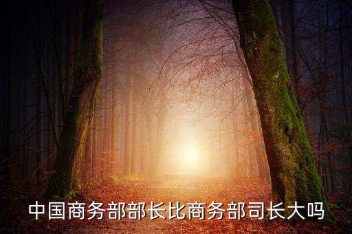 商務(wù)部部長什么級(jí)別，商務(wù)部部長多大的官