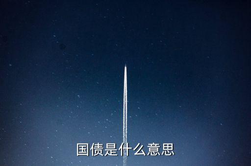國(guó)債是什么意思