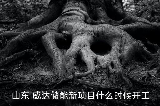  山東 威達(dá)儲能新項(xiàng)目什么時候開工