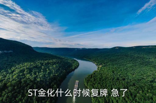 ST金化什么時候復牌 急了