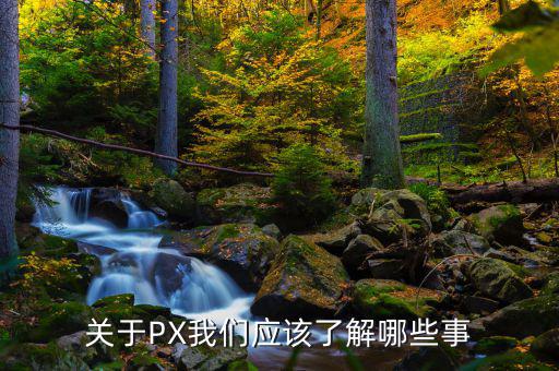 px項目是干什么的，關于PX我們應該了解哪些事