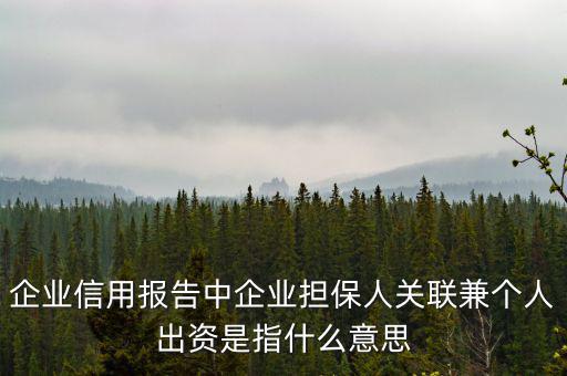 擔(dān)保人關(guān)聯(lián)是什么意思，企業(yè)征信中 擔(dān)保人關(guān)聯(lián)是什么意思