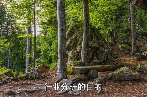 為什么要進(jìn)行行業(yè)分析，為什么要進(jìn)行市場分析