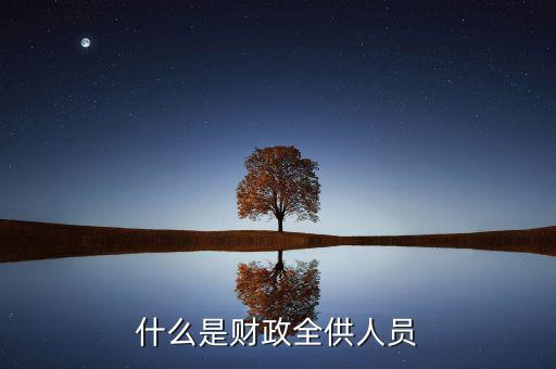 什么是財(cái)政全供人員