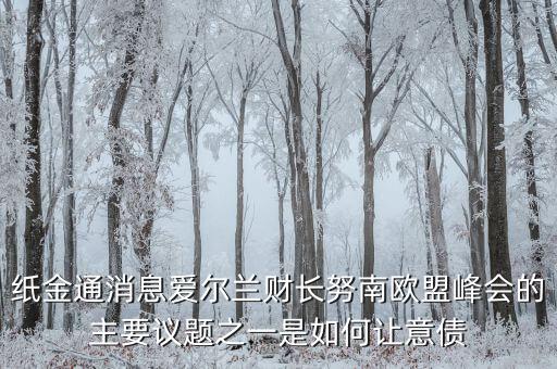 紙金通消息愛爾蘭財(cái)長努南歐盟峰會(huì)的主要議題之一是如何讓意債
