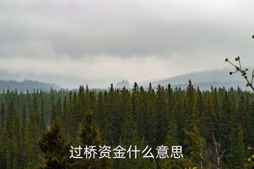 什么叫過(guò)橋資金，什么叫做過(guò)橋資金