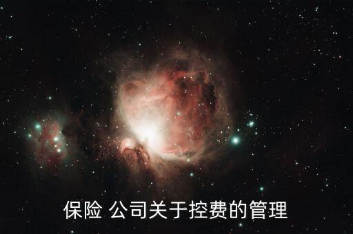 海虹控股公司怎么樣,醫(yī)療it公司才剛開始推進(jìn)醫(yī)?？刭M(fèi)系統(tǒng)