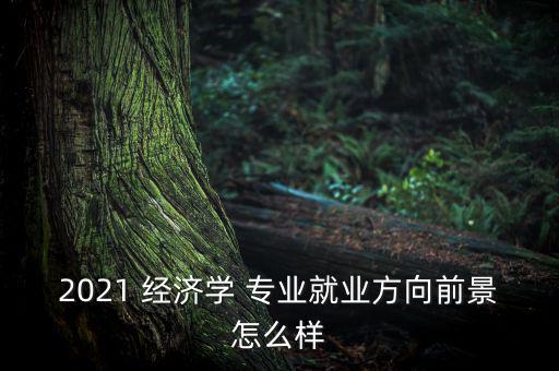 2021 經(jīng)濟(jì)學(xué) 專(zhuān)業(yè)就業(yè)方向前景怎么樣