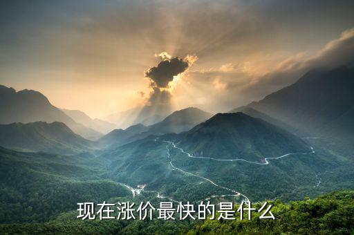 什么漲價快，大家猜猜看 什么東西會漲價的很快
