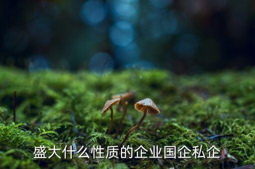 盛大什么性質的企業(yè)國企私企