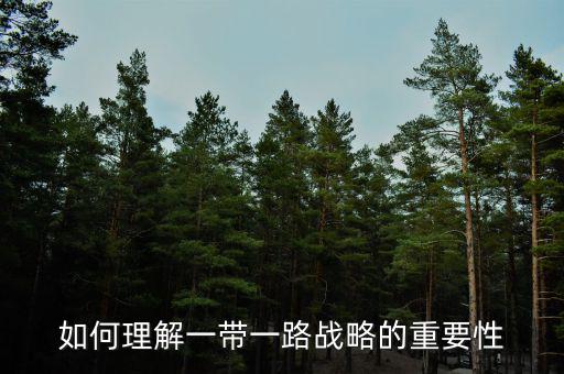 中國(guó)為什么要搞一帶一路，當(dāng)代國(guó)際社會(huì)的知識(shí)分析我國(guó)為什么要提出一帶一路的倡