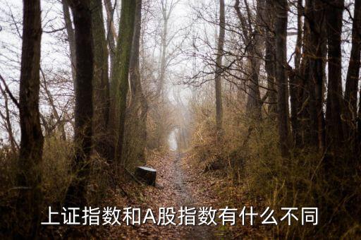 上證指數(shù)和A股什么區(qū)別，上證指數(shù)和A股指數(shù)有什么不同