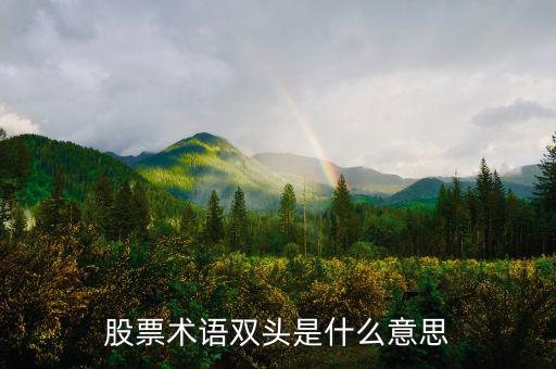 什么是大盤(pán)做雙頭，股票術(shù)語(yǔ)雙頭是什么意思