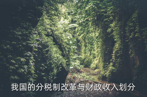 中國財政為什么會分權，西方的財政分權理論是否適合中國為什么